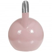 Kettlebell de compétition 8kg - 
