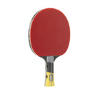 RAQUETTE DE TENNIS DE TABLE CORNILLEAU EXCELL 3000 CARBON - 