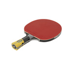 RAQUETTE DE TENNIS DE TABLE CORNILLEAU EXCELL 3000 CARBON - 
